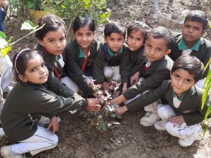 environmental-education